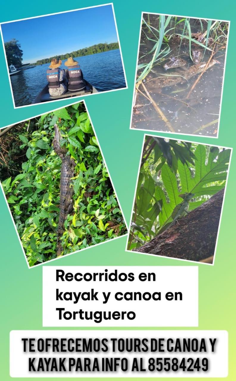 Apartamentos Caiman 3 Tortuguero Buitenkant foto